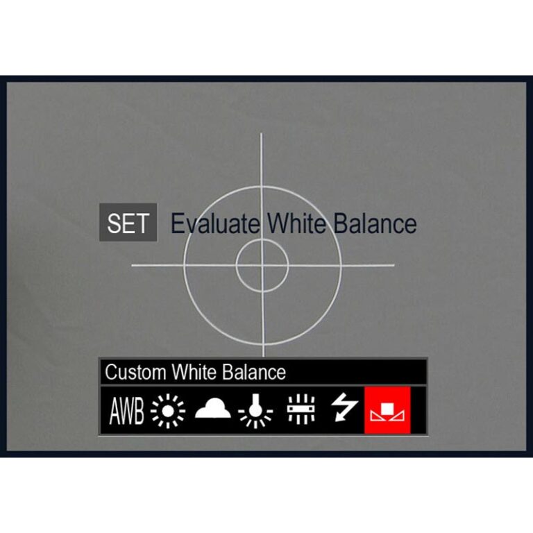 Lastolite 1250 Κάρτα Ezybalance