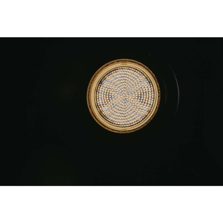 Aputure LS 600x Pro