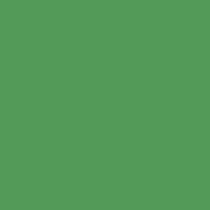 Colorama 2.72x11m LEAF GREEN