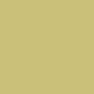 Colorama 2.72x11m FERN