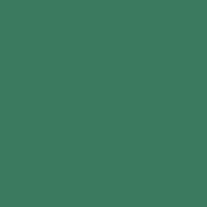 Manfrotto 9074 Χάρτινο Φόντο 2.72x11m PINE GREEN