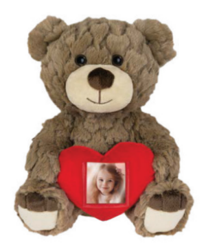 PHOTO TEDDY BROWN foto 3,5x4,5 h23 DD534